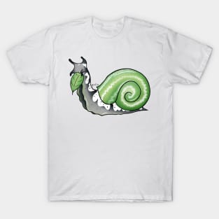 Aromantic Pride Snail T-Shirt